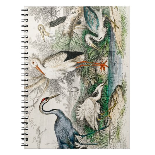 image-from-rawpixel-id-411915.jpg notitieboek (Voorkant)