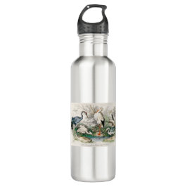 image-from-rawpixel-id-411915.jpg waterfles 