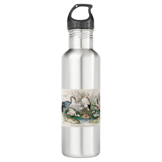 image-from-rawpixel-id-411915.jpg waterfles  (Voorkant)