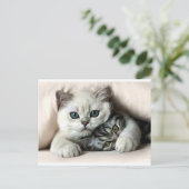 imagem de gata e filho briefkaart (Staand voorkant)