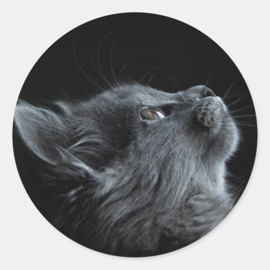 imagem que combina com qualquer escolha de colagem ronde sticker (Voorkant)