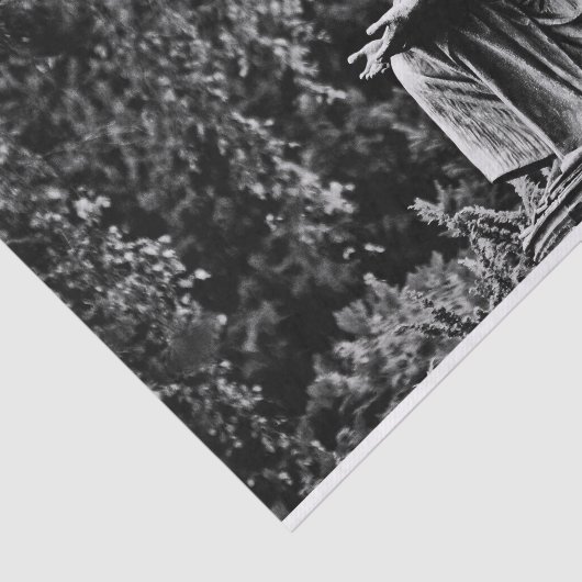 Imagen blanco y negro arrodillando ángel tissuepapier (Detail)