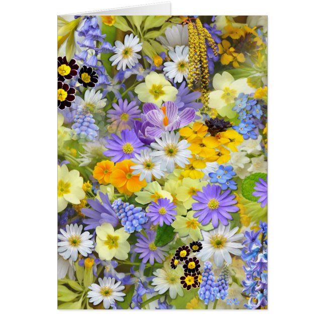 imagens com flores (Voorkant)