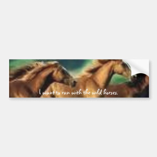 images6, ik wil rennen met de wilde paarden. bumpersticker (Voorkant)