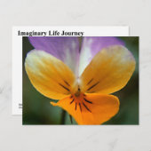 IMAGINAIR LEVEN JOURNEE BRIEFKAART (Voorkant / Achterkant)