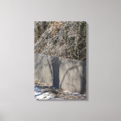 Imaginary Shadow Winter Tree Fine Art Photography Canvas Afdruk (Voorkant)