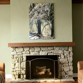 Imaginary Shadow Winter Tree Fine Art Photography Canvas Afdruk