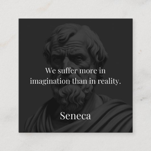 Imagination and Suffering: Seneca on Perception Informatiekaartje (Voorkant)