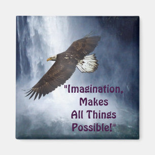 Imagination Eagle & Waterfall Motivatie magneet