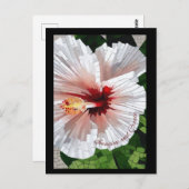 Imagine and Create Mosaic Flower Postcard Briefkaart (Voorkant / Achterkant)