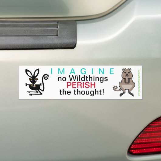 IMAGINE - Bumpersticker (Op auto)