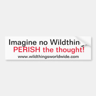 IMAGINE - Bumpersticker