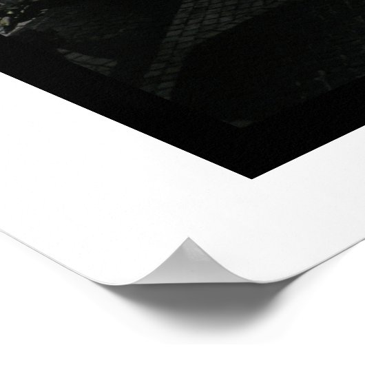 Imagine Mosaic Central Park Poster (Hoek)