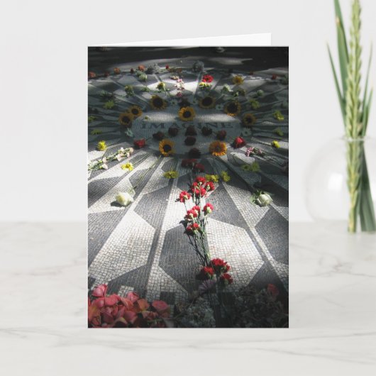 IMAGINE Mozaïek, Aardbeienvelden - V Kaart (Voorkant)