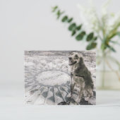 "Imagine" ook bekend als "Golden in aardbeivelden" Briefkaart (Staand voorkant)