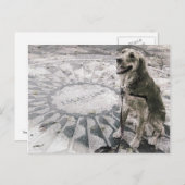 "Imagine" ook bekend als "Golden in aardbeivelden" Briefkaart (Voorkant / Achterkant)