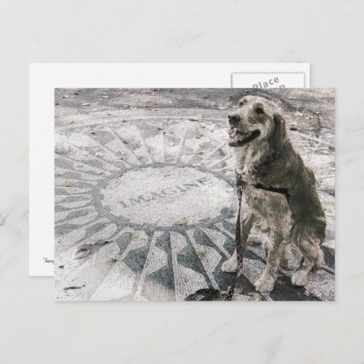 "Imagine" ook bekend als "Golden in aardbeivelden" Briefkaart (Voorkant / Achterkant)