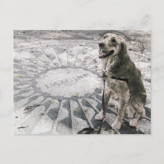 "Imagine" ook bekend als "Golden in aardbeivelden" Briefkaart