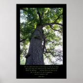 Imagine Poster (Voorkant)