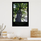 Imagine Poster (Keuken)