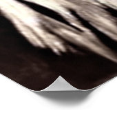 IMAGININGS POSTER (Hoek)