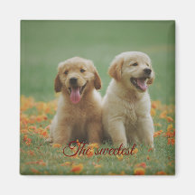 Iman cuadrado de regalo