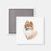 Imán ilustración perro pomerania magneet (Voorkant / Achterkant)