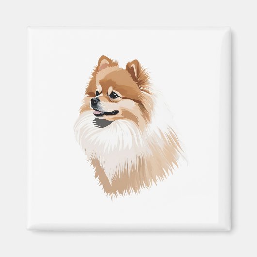 Imán ilustración perro pomerania magneet (Voorkant)