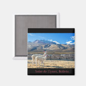 Imán, Llamas Salar de Uyuni, Bolivia Magneet (Voorkant / Achterkant)