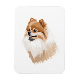 Imán nevera perro pomerania magneet