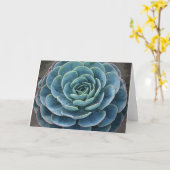 Imbricata van Echeveria notecard Kaart (Gele Bloem)