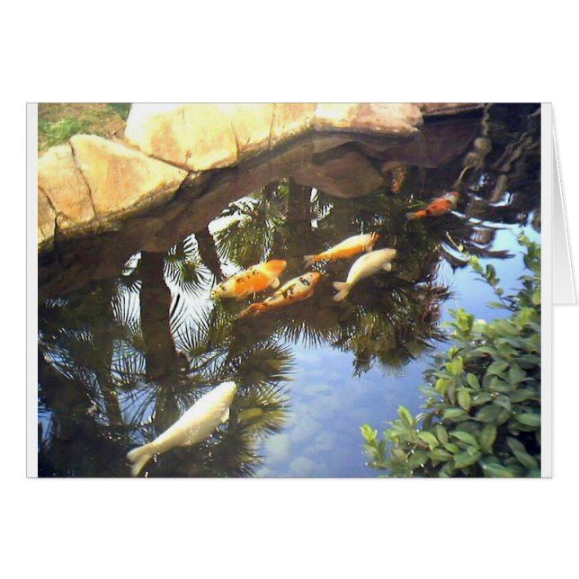 img1173.JPG (Voorkant Horizontaal)