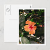 IMG_0033 BRIEFKAART (Voorkant / Achterkant)