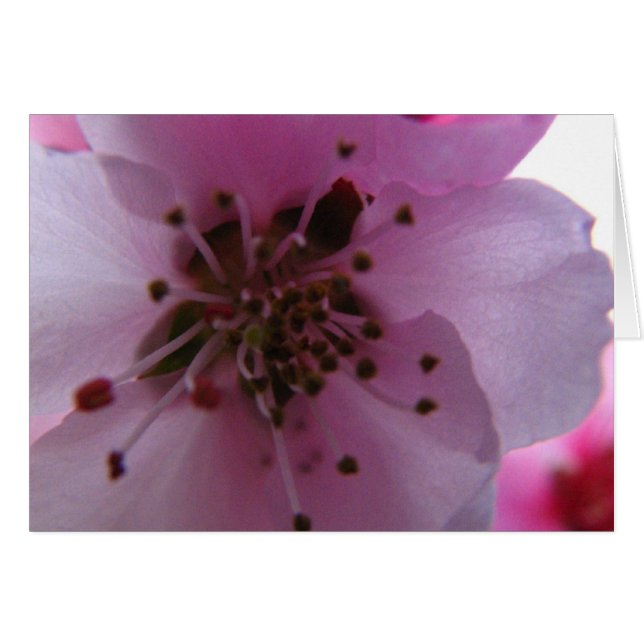 IMG_0037_3 (Voorkant Horizontaal)