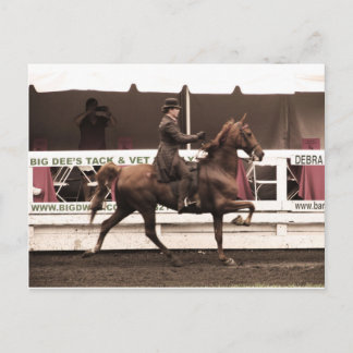 IMG_0065 kopie Briefkaart