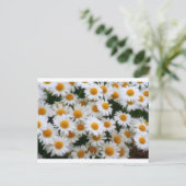 IMG_0066 Daisy Lovers Briefkaart (Staand voorkant)