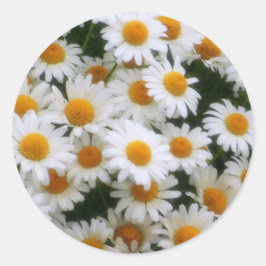 IMG_0066 Daisy Lovers Ronde Sticker