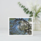 IMG_0078 BRIEFKAART (Staand voorkant)