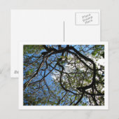 IMG_0078 BRIEFKAART (Voorkant / Achterkant)