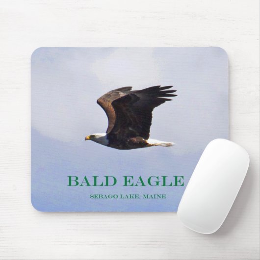 IMG_0109cnT Muismat (Met muis)