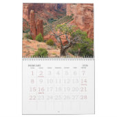 IMG_0204 (2), arizona de prachtige Kalender (Feb 2026)