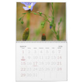 IMG_0204 (2), arizona de prachtige Kalender (Mar 2026)