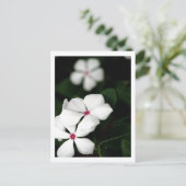 IMG_0236 BRIEFKAART (Staand voorkant)