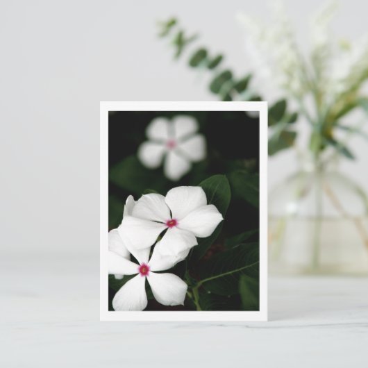 IMG_0236 BRIEFKAART (Staand voorkant)