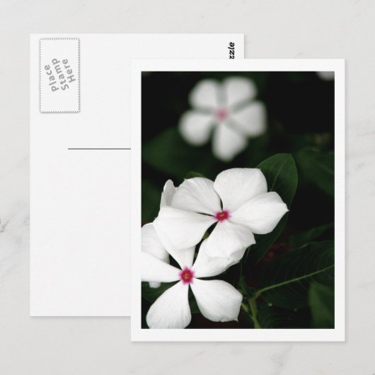 IMG_0236 BRIEFKAART (Voorkant / Achterkant)