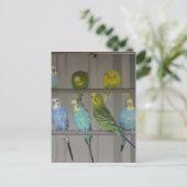 IMG_0348 BRIEFKAART (Staand voorkant)