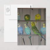 IMG_0348 BRIEFKAART (Voorkant / Achterkant)