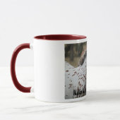 IMG_0380, Maine A Sportaloosa! Mok (Links)