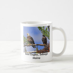 IMG_0411cn, Bald Eagles, Sebago Maine Koffiemok