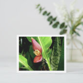 IMG_0432 BRIEFKAART (Staand voorkant)